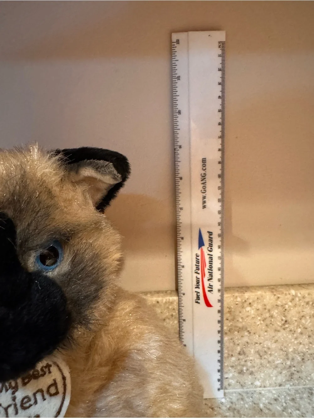 My Best Friend Plush Siamese Cat - Cream and Black from Hallmark